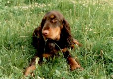 barbara of the fs 1986